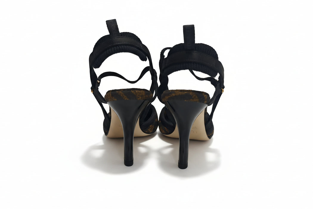 Fendi Colibrì